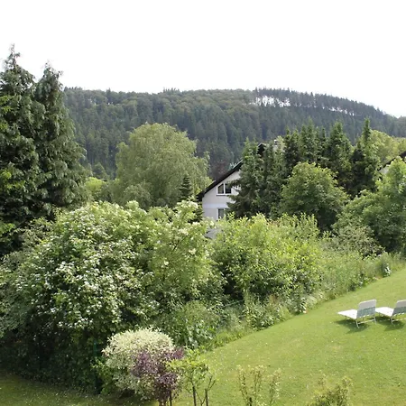 Appartement Haus Wanderlust Willingen (Upland)